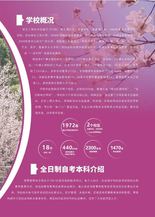 武汉工程大学2025年全日制自考本科（专升本）招生简章