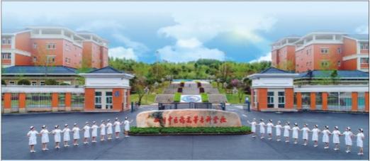 2025年成人高等教育成教本科招生简章