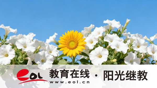 河南郑州自考如何报名？考些什么内容？