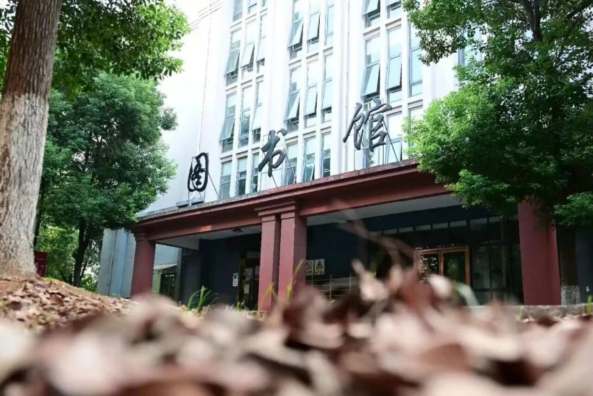 学校校园风光