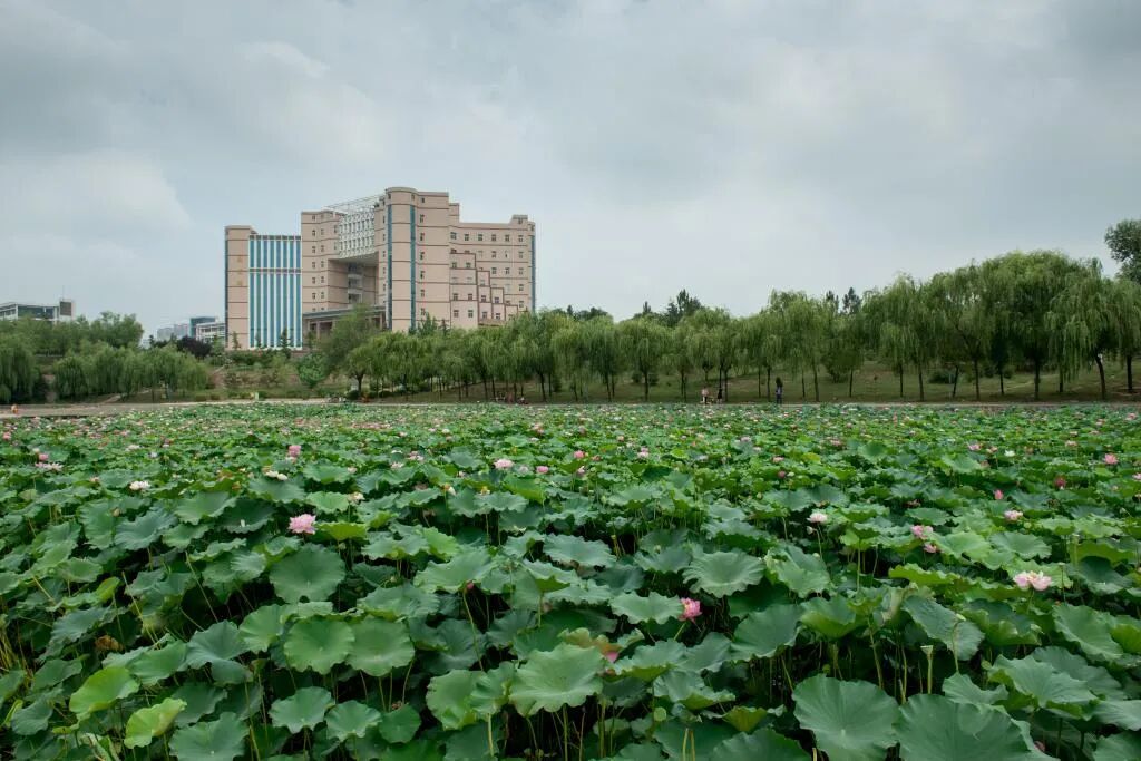 河南工程学院2026年高等学历继续教育招生预告
