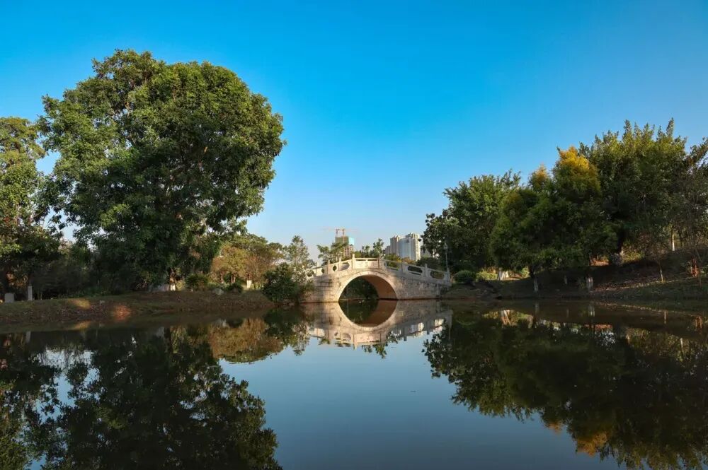 北理珠自考中心2026年招生简章 北理珠自考中心2026年招生简章