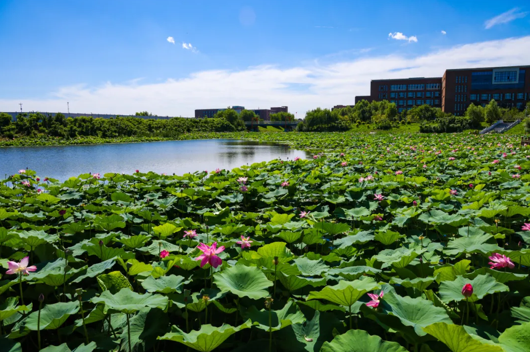 吉林工商学院继续教育学院2026年非脱产学历教育招生简章