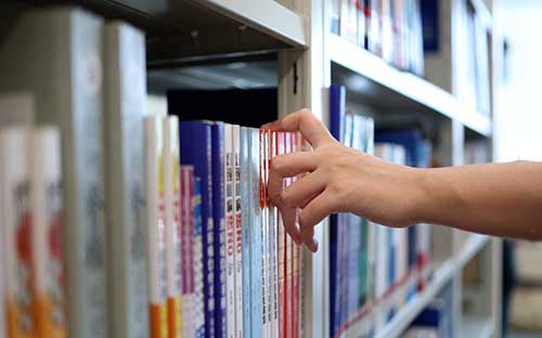 东莞学历提升的报名网站在哪里？自考大专有哪些专业可以选？