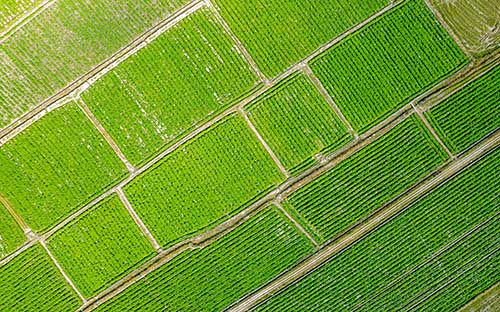 山东潍坊成人高考报名条件是什么？学校有哪些？