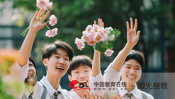 如何查询成人高考报名是否成功？有什么备考技巧？