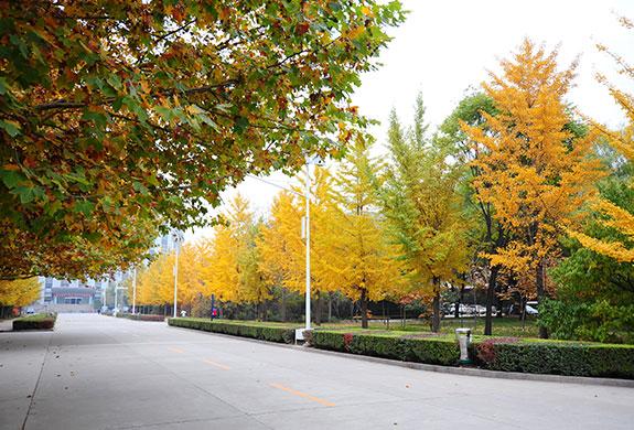 华北科技学院