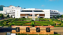 青岛大学