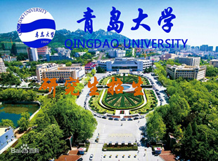 青岛大学研招