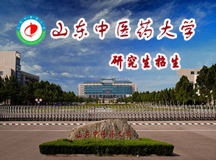 山东中医药大学研招