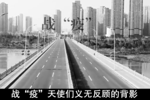 教育视频