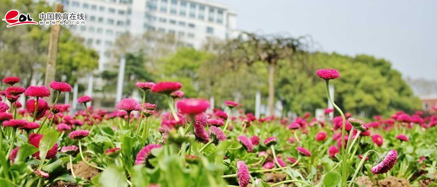 华中师范大学_研究生优质生源精准宣传