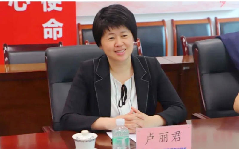 教育部思政司一级调研员卢丽君发言