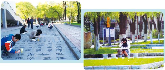 绥化学院2020全国排名_2020年黑龙江省高校排名:黑龙江大学居第四名!