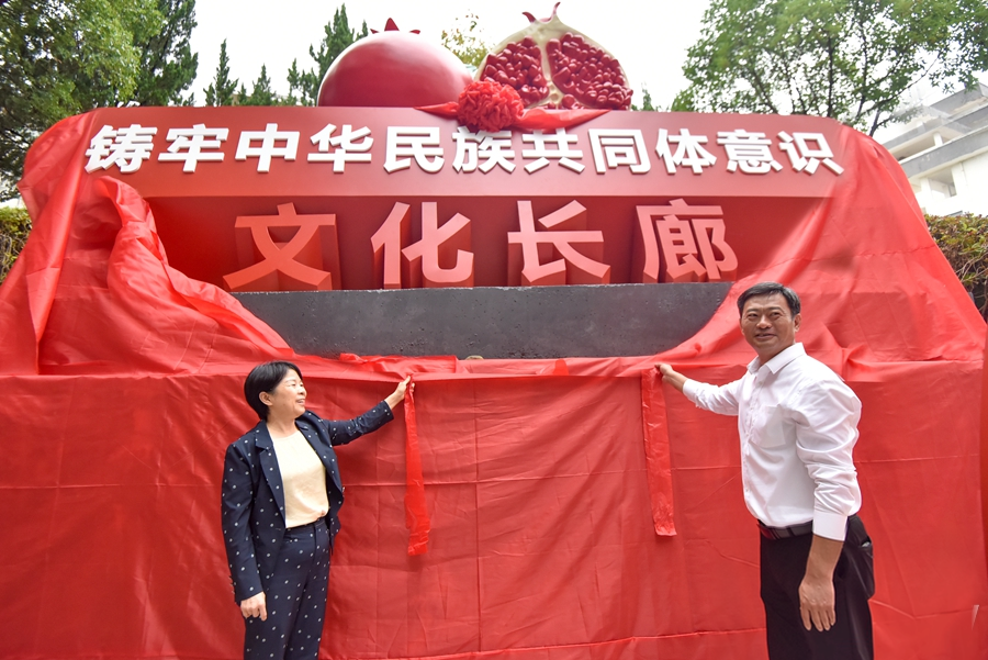 图片 3