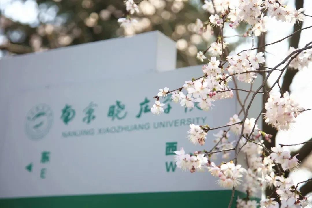 南京晓庄师范大学图片