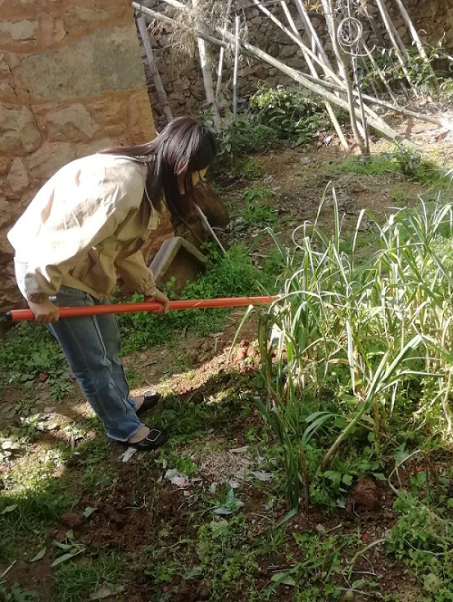 夏会在翻地除草