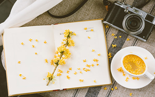 临高开放大学招生报名官网网址是什么？