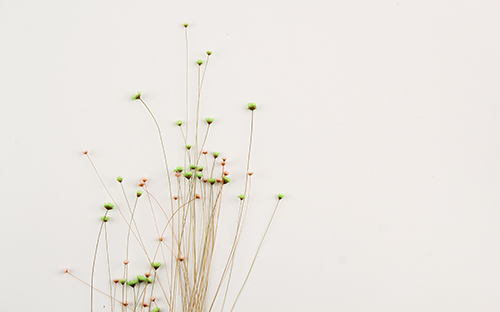 肃州开放大学的学费多少钱？