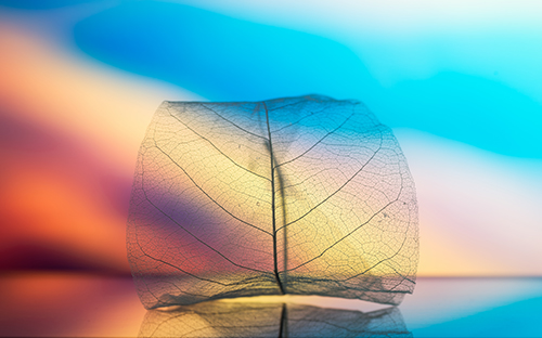 酒泉开放大学怎么样？