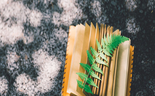 海东开放大学的学历国家承认吗？