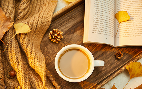 西丰开放大学招生报名官网