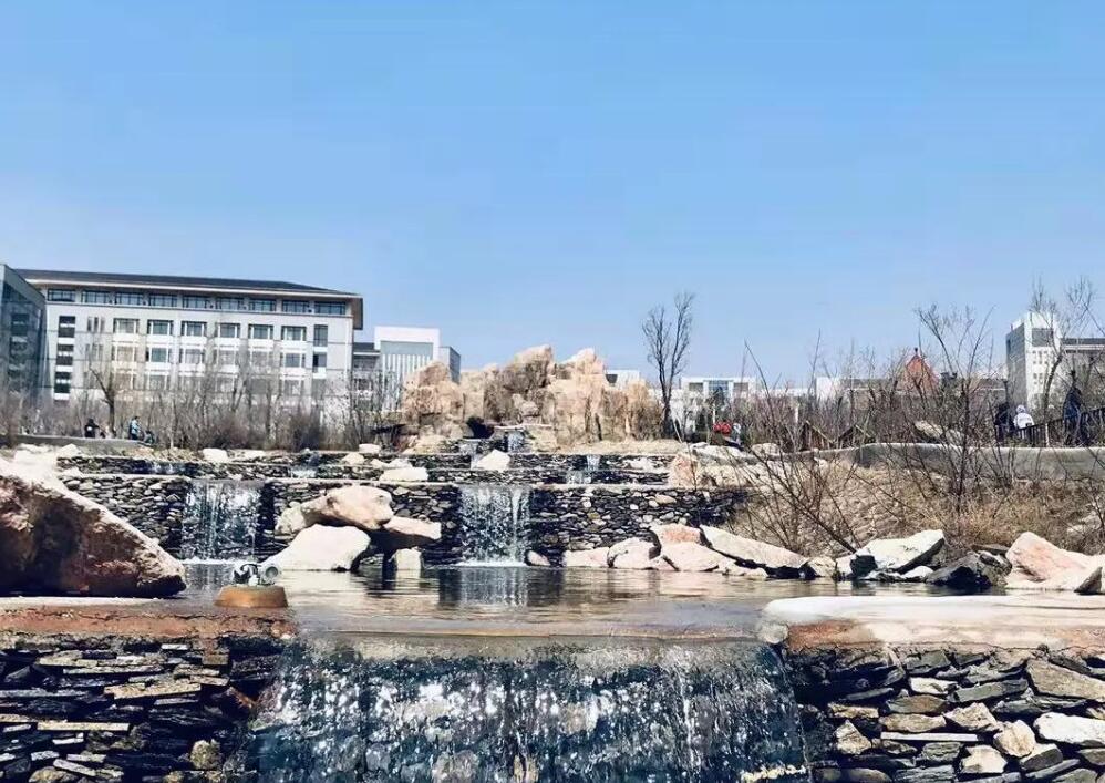 大连财经学院校庆|灼灼岁序有斯人,时节皆知财意深