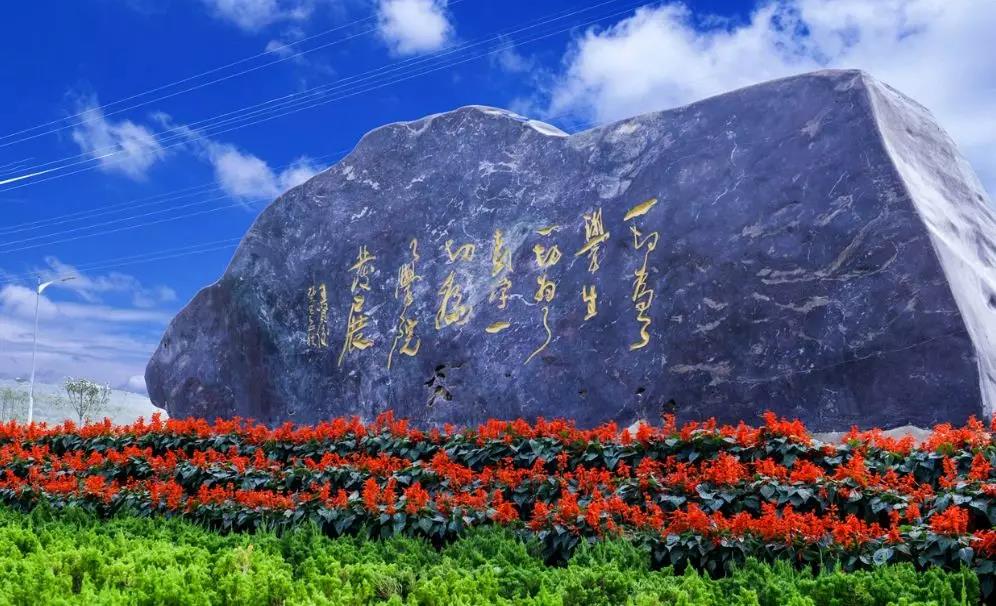 权威发布|大连艺术学院2020年在部分省,市设点考试专业内容及评分标准