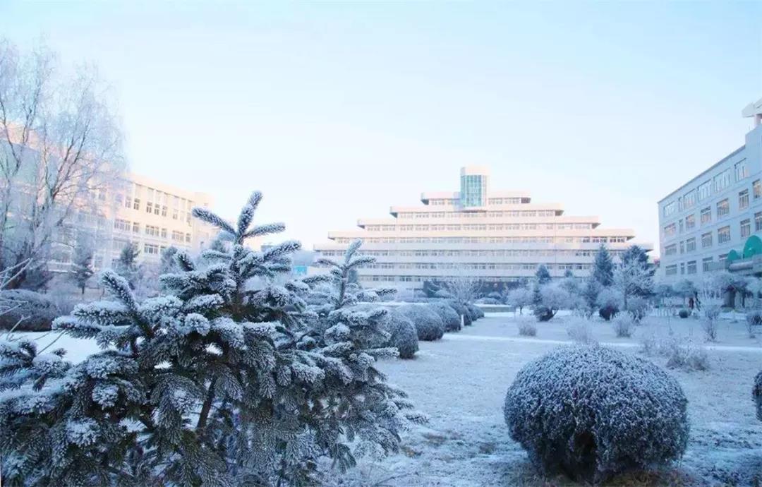 辽宁建筑职业学院2020图片