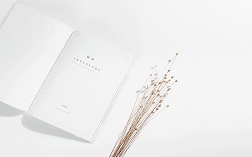 本科留学背景提升志愿活动