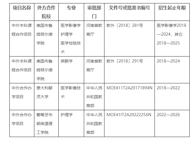2022年中外合作办学项目基本情况