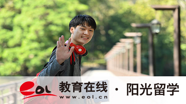 荷兰视觉艺术专业研究生留学有哪些条件，生活费多少钱