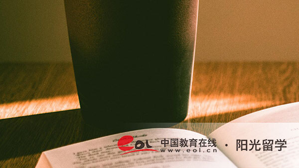 便宜些的国际本科项目有哪些，多少钱