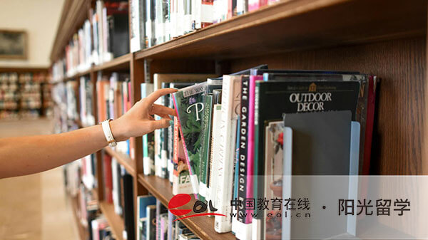 上海大学国际本科去读一年费用多少钱