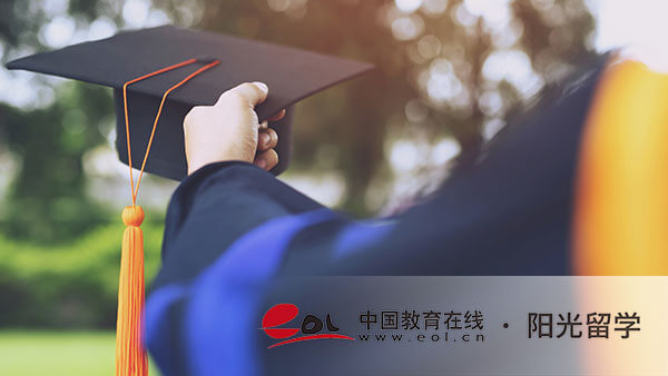 爱尔兰雕塑专业本科留学费用一年多少钱，有哪些要求