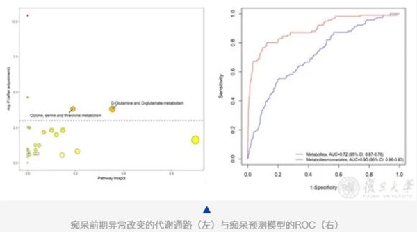 青年型人口_人口普查(3)