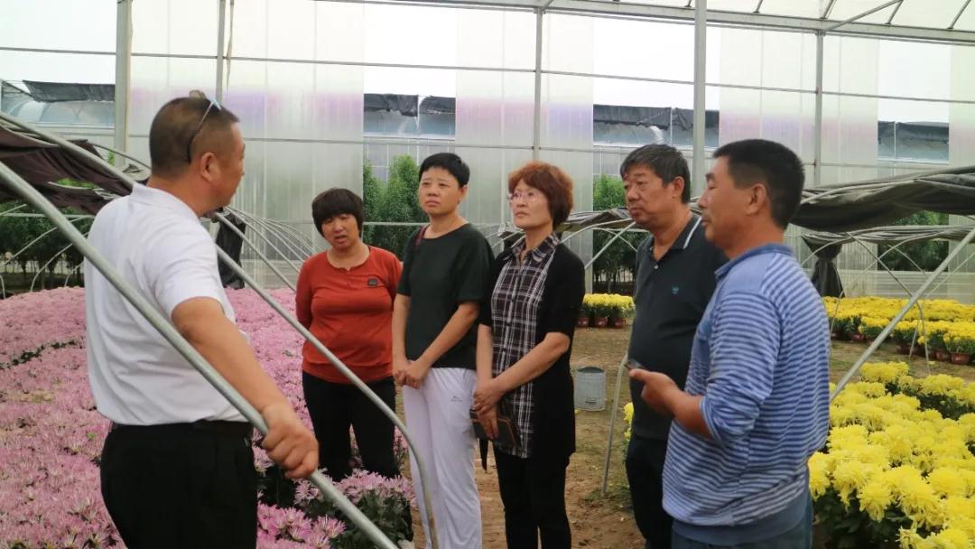 从乡村姑娘到百家乐官网链接园艺品牌掌门人：海妈如何借拼多多千亿扶持激活四川园艺产业