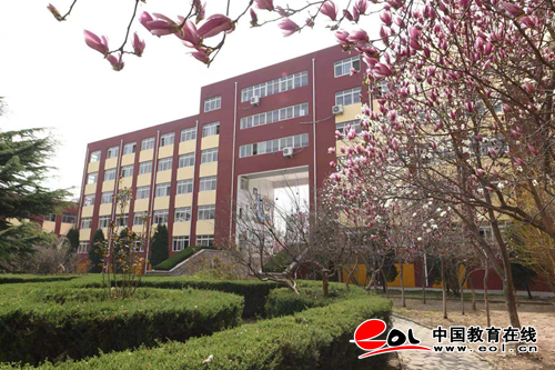 乘势而上抓机遇!2019山东单招(综合评价)名校