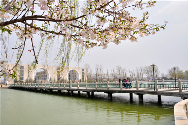 里联通路 等风也等你 | 淄博职业学院2018年单