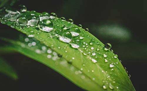 8月托福考试时间是什么时候