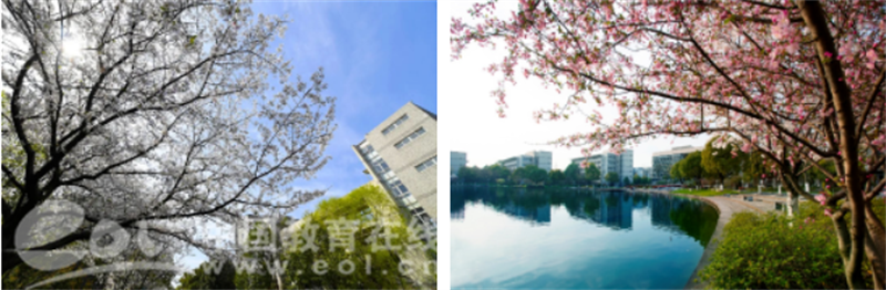 杭州职业技术学院：省内普高计划990人，双高院校，工匠摇篮，等你报考！