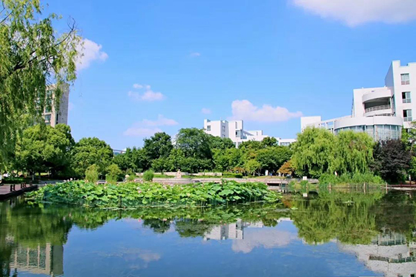 专升本丨杭州师范大学钱江学院2020年专升本招生简章