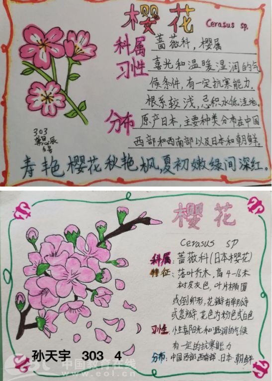 桃花植物卡下册图片