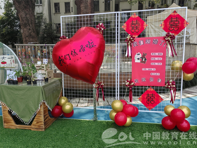 杭州农科院幼儿园官网_跨园幼儿园兔子婚礼_杭州濮家幼儿园兔子“联姻”活动