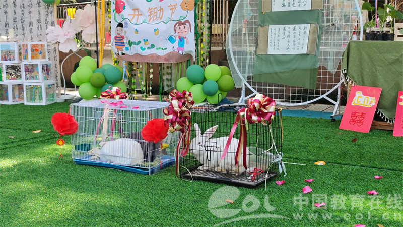 杭州濮家幼儿园兔子“联姻”活动_跨园幼儿园兔子婚礼_杭州农科院幼儿园官网
