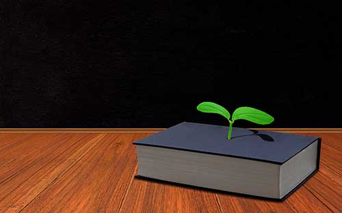 自考报名需要信息审核吗？毕业证怎么申请？