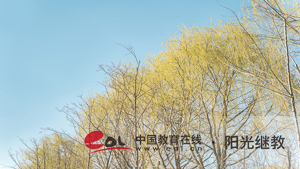 珠海自考怎么报名?推荐什么专业? 珠海自考怎么报名?推荐什么专业?