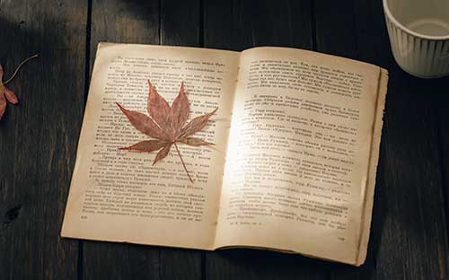 江苏无锡自考人力资源专业怎么报名？有哪些条件？