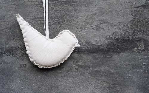 广东省广州市自考有哪些报名要求？怎么报名？