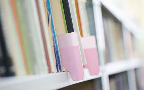 百色自考报名时间怎么安排的？本科毕业可以考公务员吗？